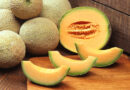 How to Know When a Cantaloupe is Ripe