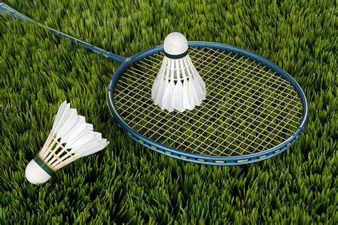 Pixel 3 Badminton Backgrounds