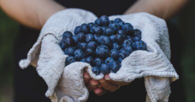 benefits of blueberry fiber