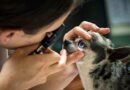 Fuzzy Pet Health