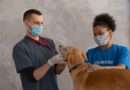 Pearland Pet Health Center