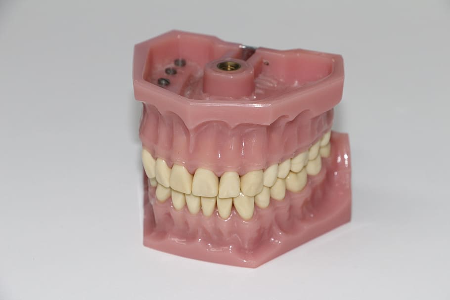 Denture Repair Kit