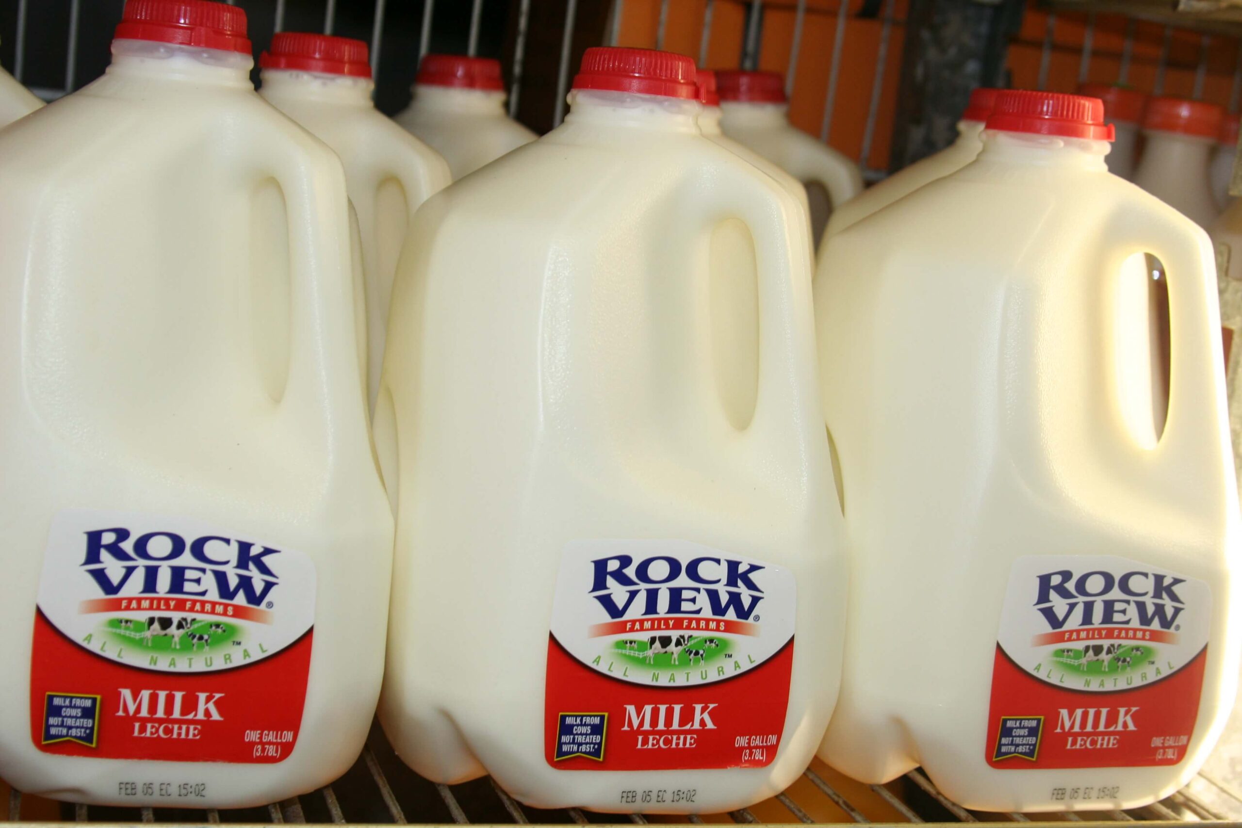 Discovering the Best Gallon of Milk: A Comprehensive Buyer’s Guide