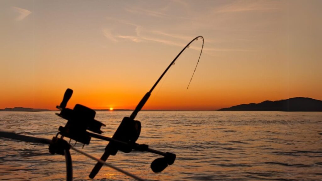 Lake Lanier Fishing Report