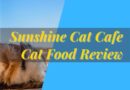 Sunshine Cat Cafe Cat Food Review